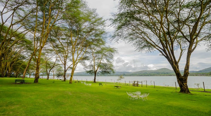 naivasha tour deals
